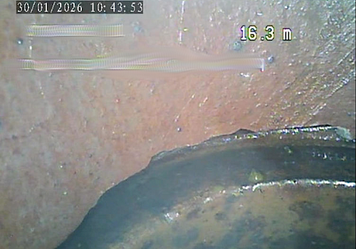 Infiltrações em Prédios – Diagnóstico Técnico e Soluções Sem Obras